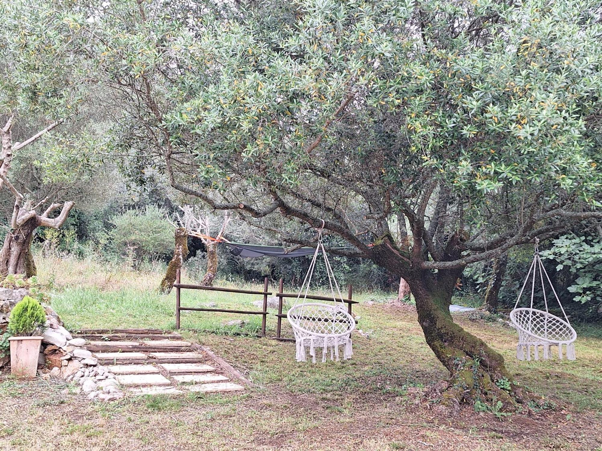 Moradia Rural De Charme Agradavel E Acolhedora Villa Arrimal Exterior photo
